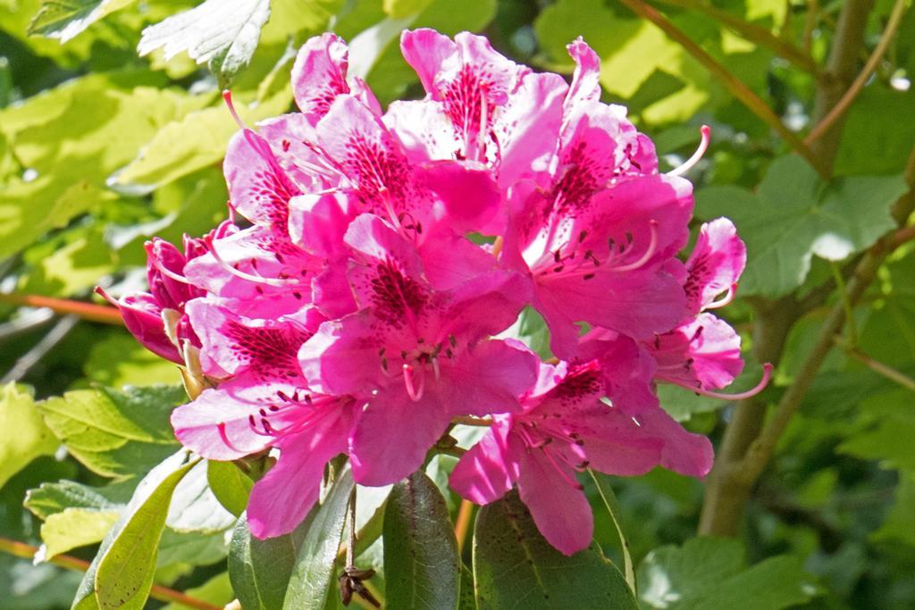Woodacre B & B Arundel Zewnętrze zdjęcie